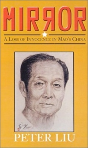 Peter Liu's Mirror book cover